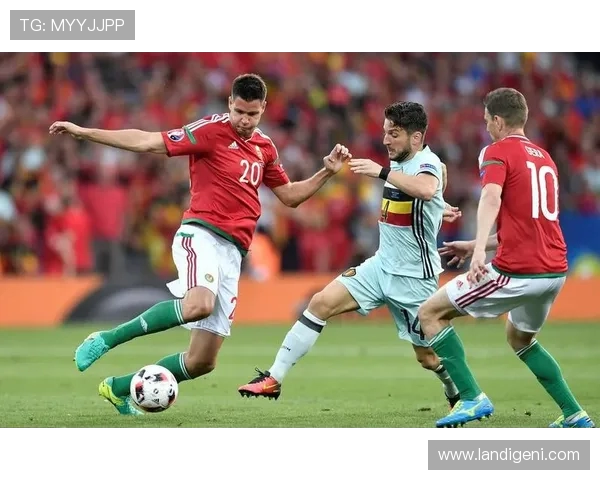 北爱尔兰与荷兰精彩对决直播时间及观看方式详解